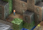 Wall Walker